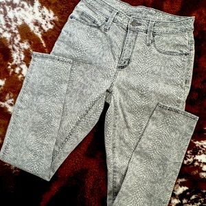 Snake Print Pant